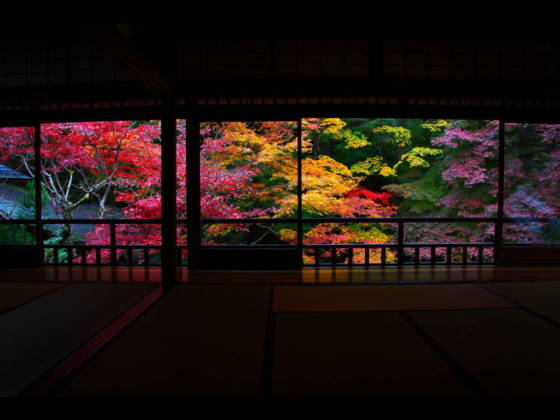 京都観光でオススメな紅葉スポットを20箇所ありったけ